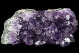 Purple Amethyst Cluster - Uruguay #66811-1